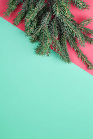 fir branches on red and green background, top view copy space. Christmas and New Year backgroundの写真素材