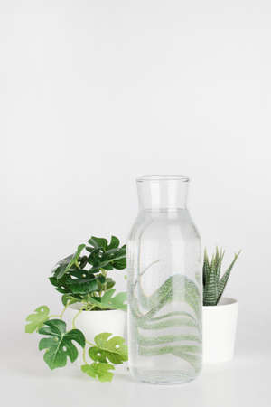 plants in pots distorted through water in bottle on white background. Home decor, eco friendly, relax, gardening concept. copy spaceの写真素材