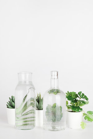plants in pots distorted through water in bottle on white background. Home decor, eco friendly, relax, gardening concept. copy spaceの写真素材