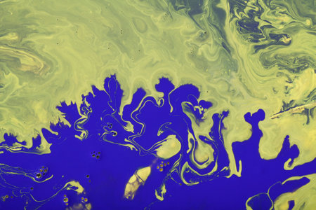 blue and yellow paint texture. creative background. abstract organic art.