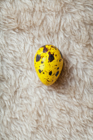 yellow quail egg on fur surface. top view flat lay. Minimal background. Easter concept. copy spaceの写真素材