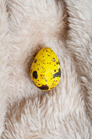 yellow quail egg on fur surface. top view flat lay. Minimal background. Easter concept. copy spaceの写真素材