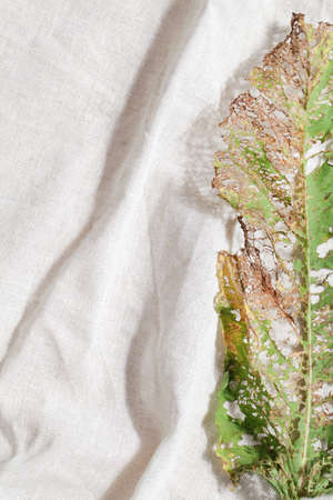 natural background. minimal, stylish concept. boho design. copy space. dry leaf on linen textile....