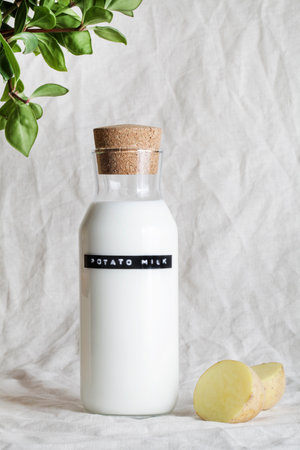 Vegan potato milk in bottle with sliced potatoes and green plant on grey crumpled textiles. lactose free product. Healthy vegetarian foodの写真素材