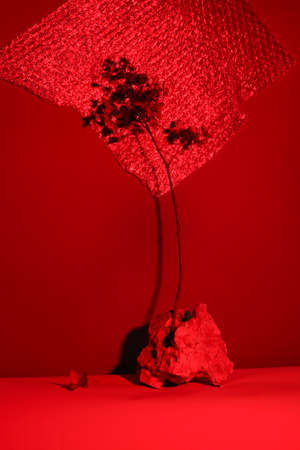 dry grass in stone with deep shadows. natural background. minimal, art concept. boho and kinfolk design. Selective focus. photo through red filterの写真素材