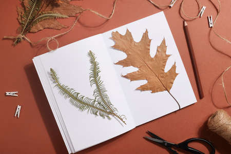 Dried pressed leaf on paper from notebook with pencil , scissors and twine on brown background. hobby, handmade, floral art and boho style conceptの写真素材