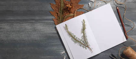 Dried pressed leaf on paper from notebook with pencil , scissors and twine on blue background....