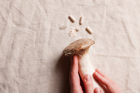 hands with mushrooms and natural herbal pills on textile gray background. environmental friendly , healthy, medical supplement concept. copy space.の写真素材