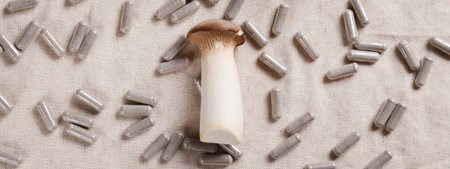 mushroom and natural herbal pills on textile gray background.environmental friendly ,healthy lifestyle, medical supplement concept. bannerの写真素材