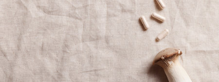 mushrooms and natural herbal pills on textile gray background.environmental friendly ,healthy lifestyle, medical supplement concept.copy space. bannerの写真素材
