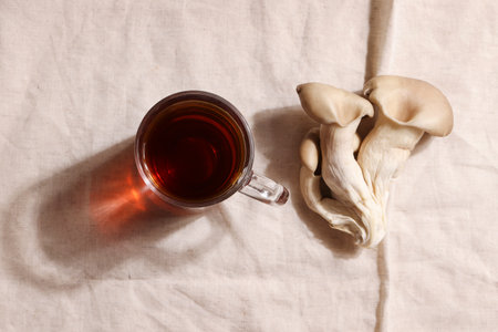 Natural medicine, reduce stress and improve immunity concept. Mushroom hot drink. Tea in glass mug with mushrooms on textile background. copyspace.の写真素材