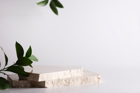 nature stone podium, plant on white background for product,stylish showcase ,mock up for exhibition, presentation of goods ,Exhibition, display podiumの写真素材