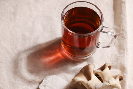 Natural medicine, reduce stress and improve immunity concept. Mushroom hot drink. Tea in glass mug with mushrooms on textile background. copyspace.の写真素材