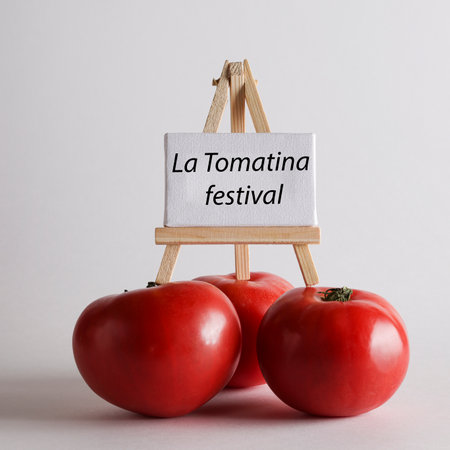 La Tomatina festival written on white board with red tomato on white background. famous tomato battle in the Spanish village of Bunyol concept. squareの写真素材