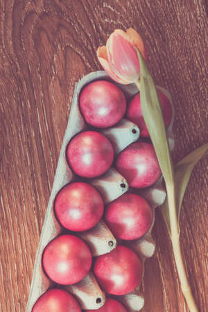 Easter Painted Eggs Pink Color Tulip Toningの写真素材