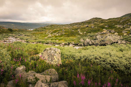 Summer day Mountain landscape of Norway horizontal photoの写真素材