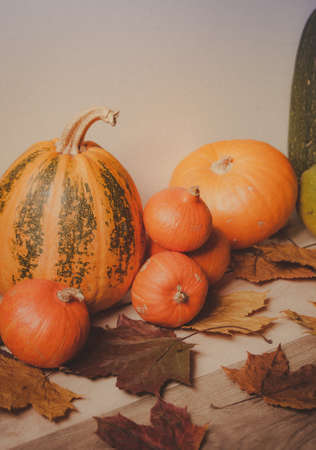 Orange pumpkins on the old rustic table with vintage film colors background, verticalの写真素材
