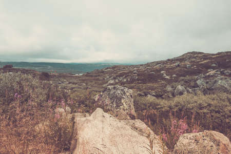 Scandinavian mountains on a gloomy autumn dayの写真素材