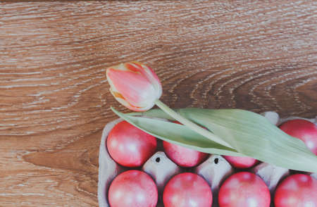 Easter scene, painted eggs in a box, inside, flower tulip, top viewの写真素材