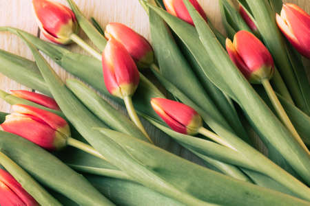 Spring bouquet of flowers of pink tulips on wooden indoors - imageの写真素材