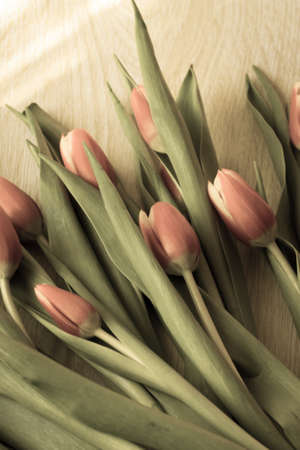 Spring, a bouquet of flowers, pink tulips, out of focus, wooden table indoorsの写真素材