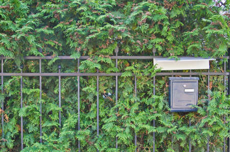 mailbox on green background with textspaceの写真素材