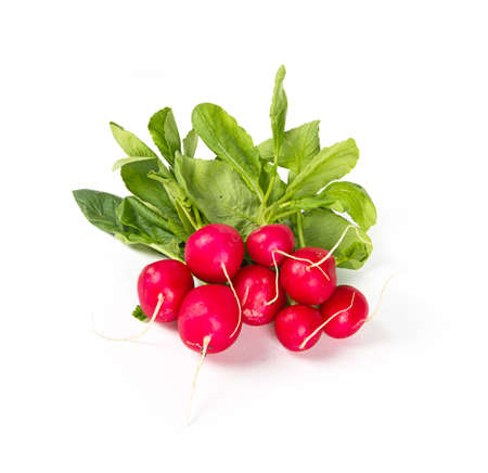 Ripe radish on white backgroundの写真素材