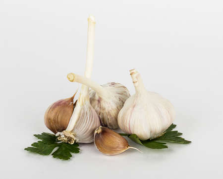 Garlic on white background