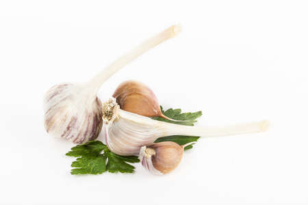 Garlic on white background