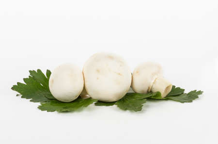 White mushrooms on white backgroundの写真素材