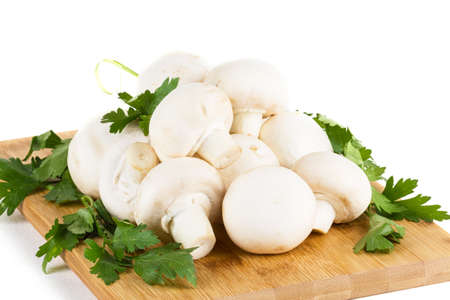 Beautiful white mushroomsの写真素材