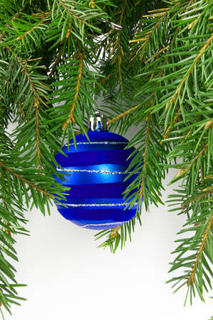 Christmas balls on a branchの写真素材