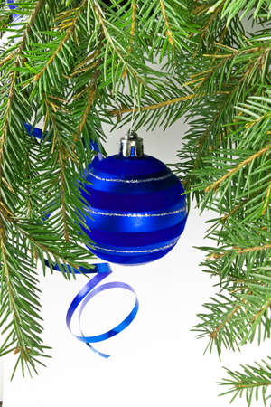 Christmas balls on a branchの写真素材