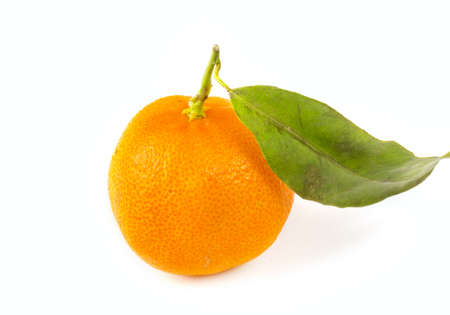 Tangerineの写真素材
