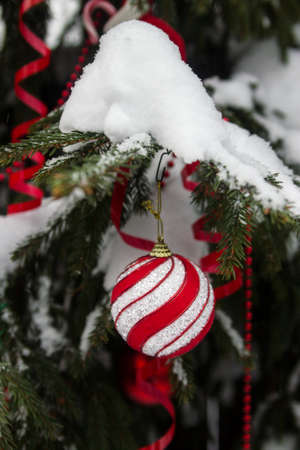 Christmas balls outdoorsの写真素材