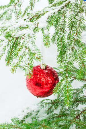 Christmas balls outdoorsの写真素材