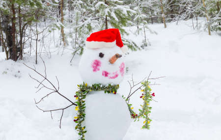 Snowman with bucket on the headの写真素材