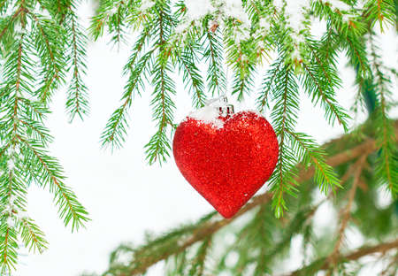 Christmas balls outdoorsの写真素材