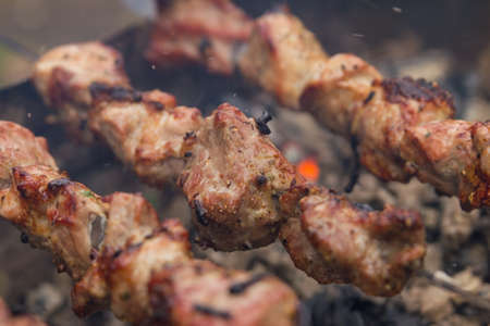 barbecue outdoorsの写真素材