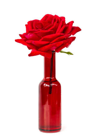 Perfect red rose in red vaseの写真素材
