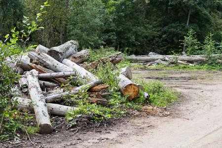 deforestationの写真素材
