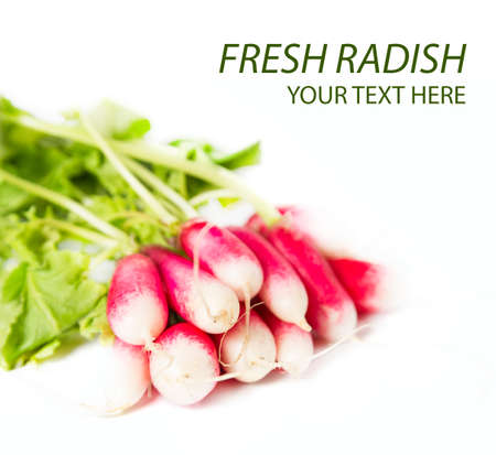 Radishの写真素材