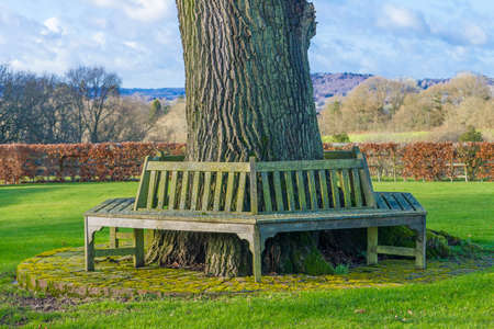 Benchの写真素材