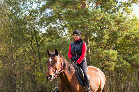Elegant attractive woman riding a horseの写真素材