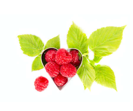 raspberryの写真素材