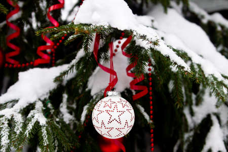 Christmas branch