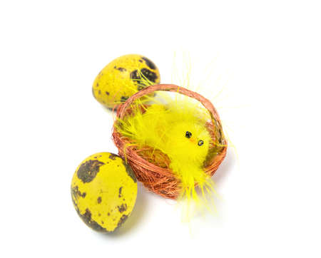 Easter egg and chicken
