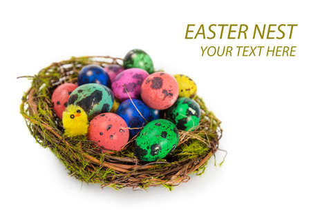 Easter eggs in the nestの写真素材
