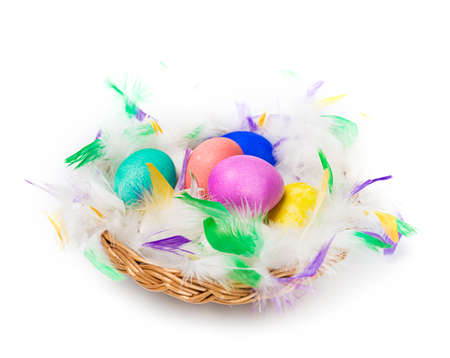 Easter eggs in the nestの写真素材