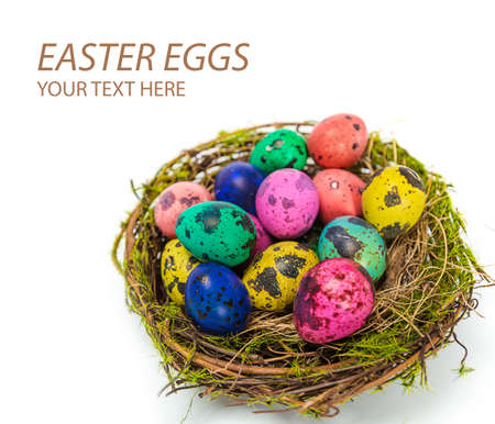 Easter eggs in the nestの写真素材